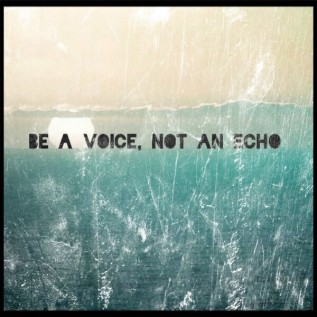 Be a voice, not an echo