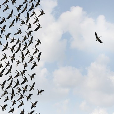 overcoming fears and challenges